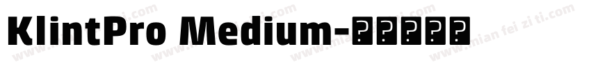 KlintPro Medium字体转换